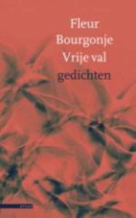 Cover van het boek 'Vrije val'