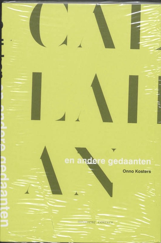 Cover van het boek 'Callahan en andere gedaanten'