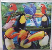 3D wenskaart - toekan-papegaai - Trendzz- 16 x16 cm