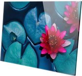 Waterlelie | 60 x 40 CM | Wanddecoratie | Natuur| Plexiglas | Schilderij op plexiglas