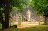 Tuinposter| Buddha Beeld In Een Rots 120cm X 80cm– Tuinposter Voor Buiten / Buitencanvas/ Spandoek / Tuinschilderij (tuindecoratie) + Ringen Om De 50cm