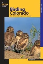 Birding Colorado