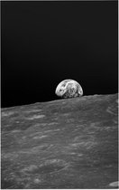 Moon with Earth over horizon (ruimtevaart) - Foto op Forex - 30 x 45 cm