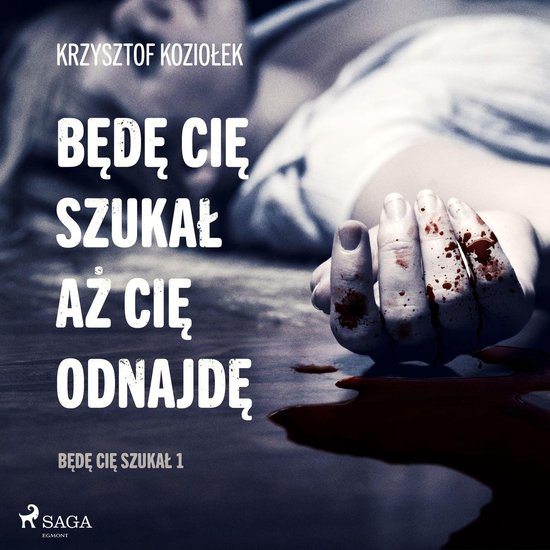 Będę Cię szukał, aż Cię odnajdę - cover