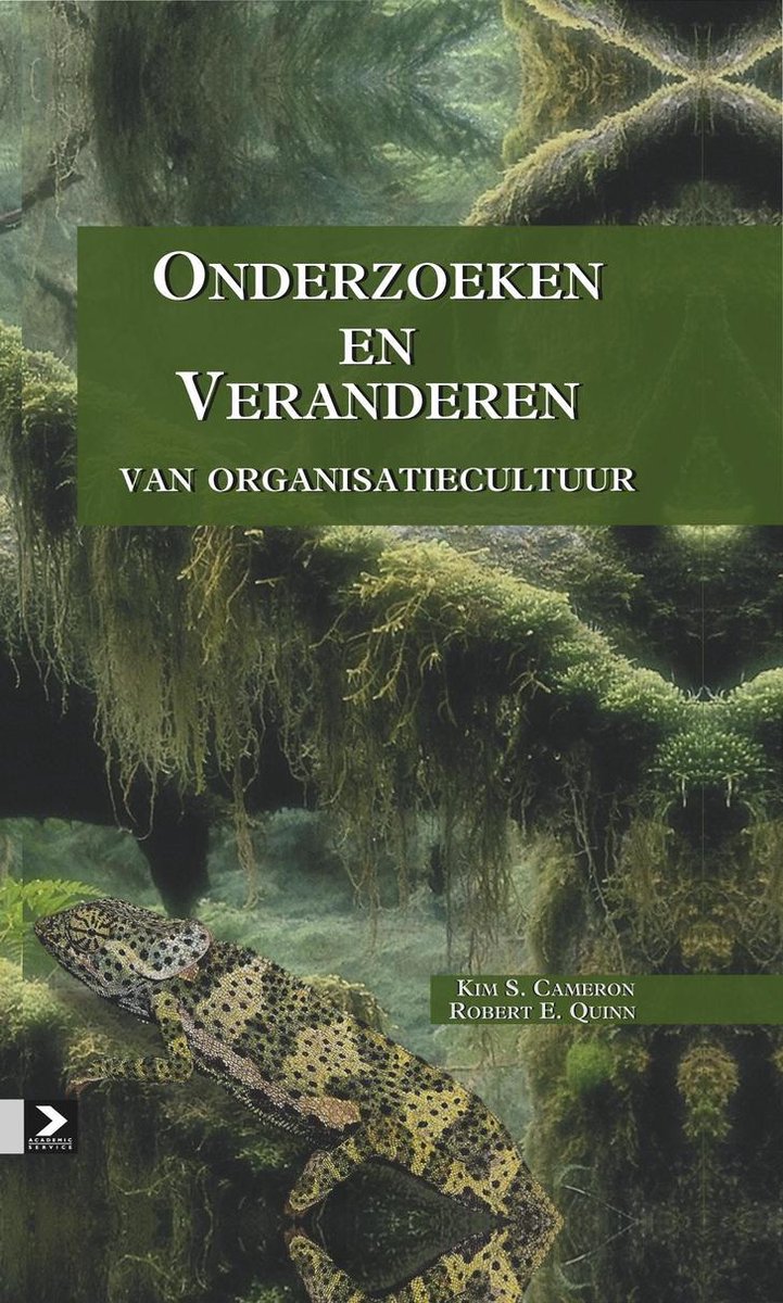 Omslag van Onderzoeken en veranderen van organisatiecultuur
