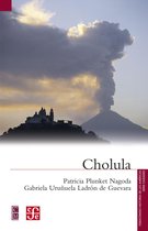 Fideicomiso Historia de las Américas - Cholula