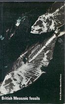 British Mesozoic Fossils
