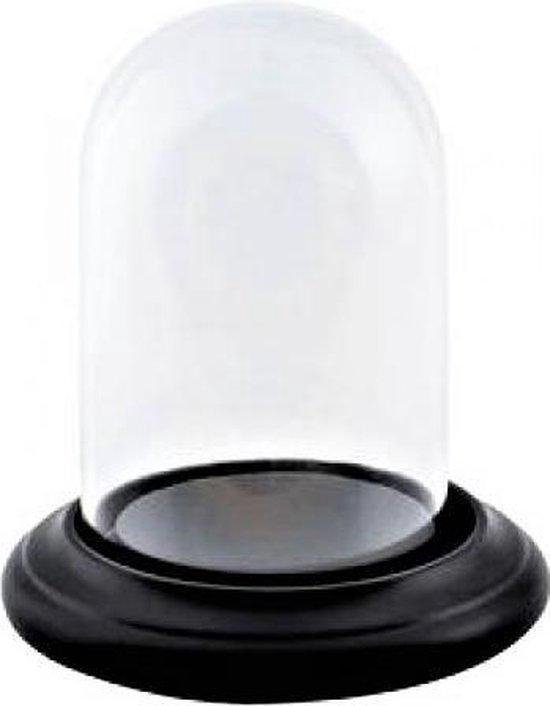 Glazen stolp met zwart houten voet D 7 cm x H 12 cm | bol.com