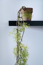 Kunst hangplant Maxim - 134cm