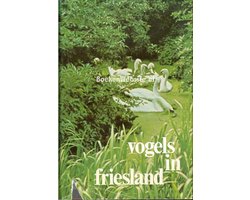 2 Vogels in friesland