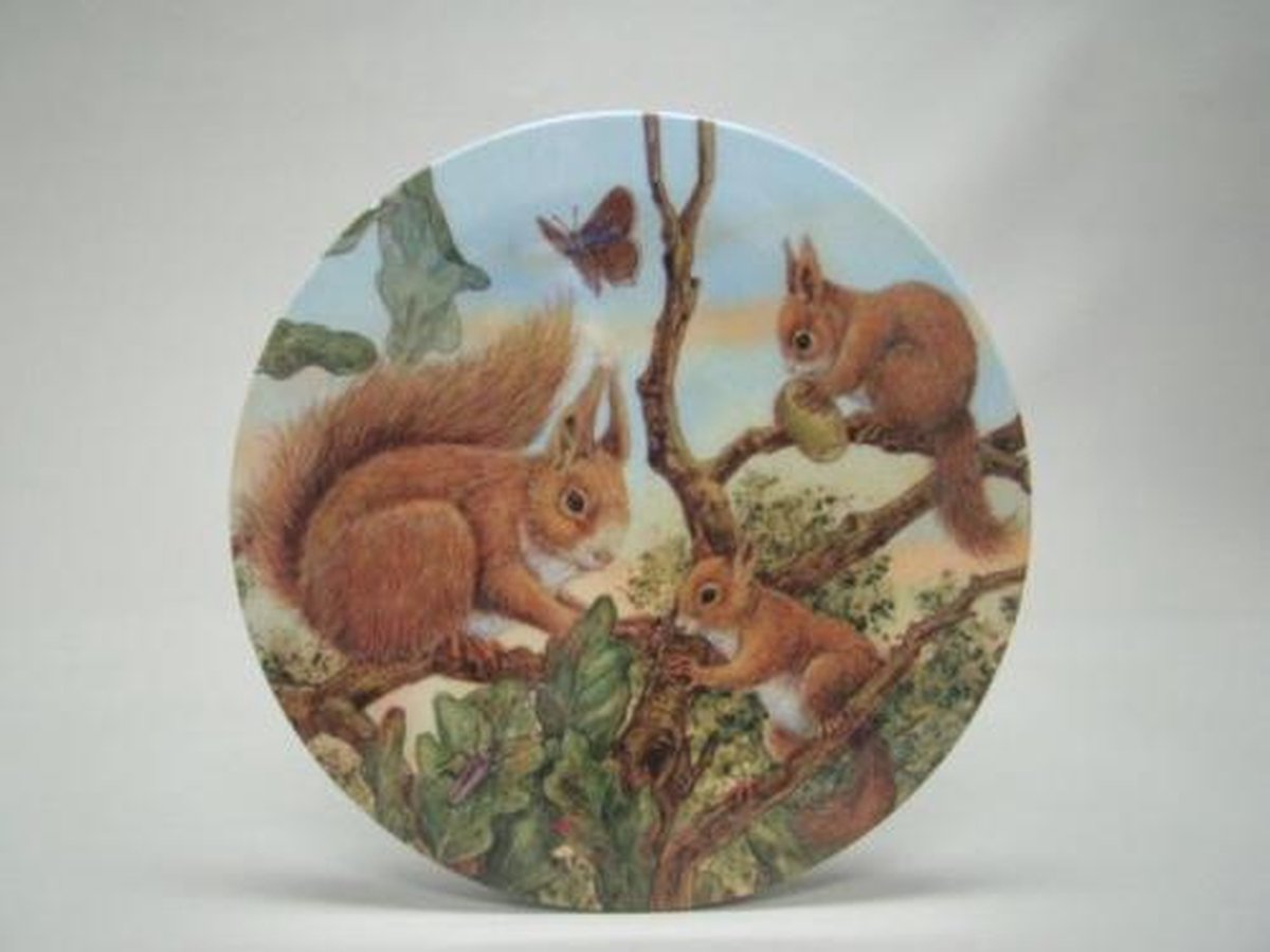 Tafelonderzetter Eekhoorn – Ø 20 cm – Melamine – Geharo