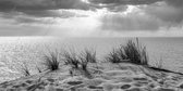 JJ-Art (Aluminium) 80x40 | Duinen, zee en strand met ondergaande zon, landschap, in zwart wit Fine Art | Zonsondergang, Nederland, sfeer, natuur  | Foto-Schilderij print op Dibond / Aluminium (metaal wanddecoratie) | KIES JE MAAT