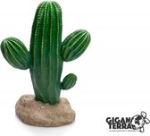 Giganterra Cactus 17x13x24,5cm