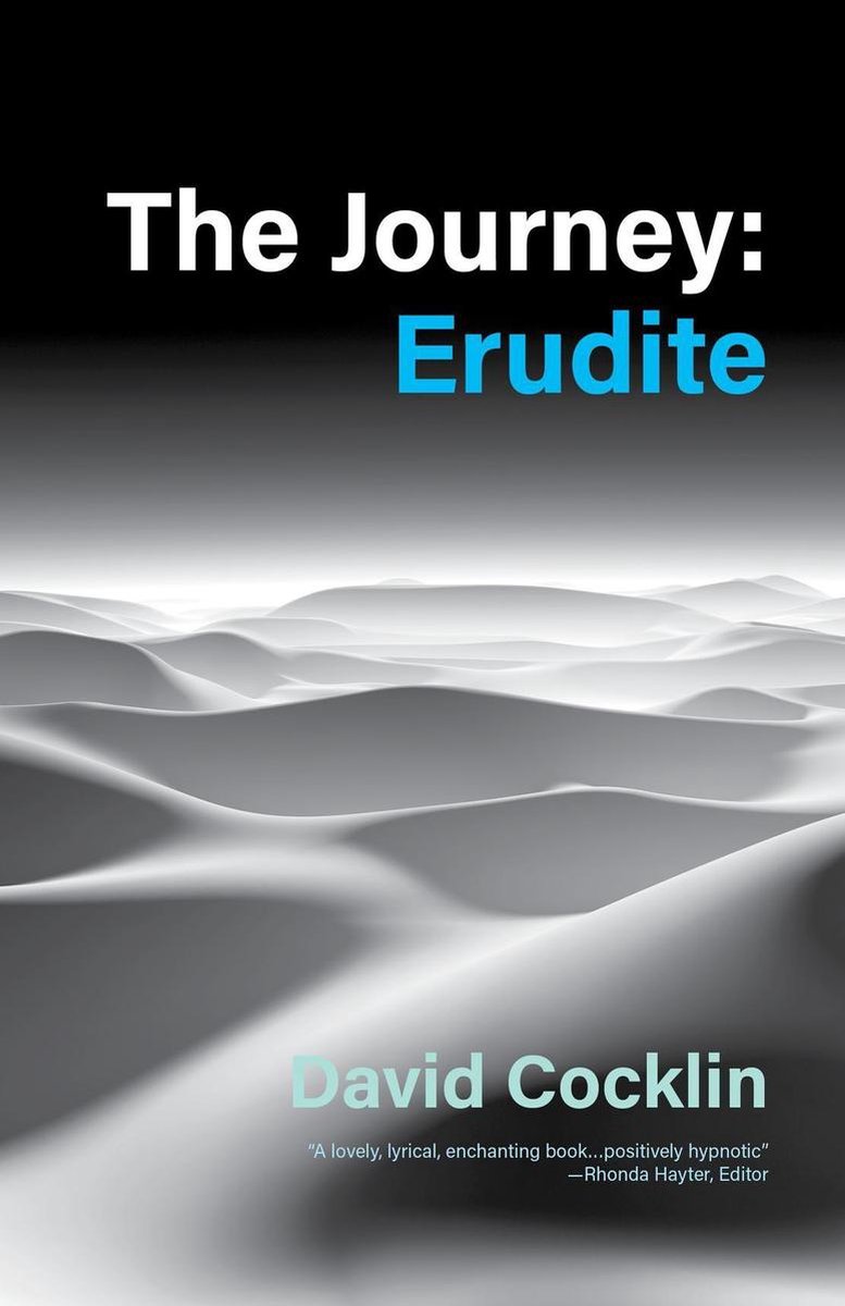 The Journey: Erudite - David Cocklin