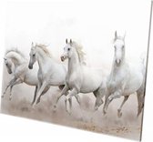 Witte paarden | 150 x 100 CM | Wanddecoratie | Dieren op plexiglas | Schilderij | Plexiglas | Schilderij op plexiglas
