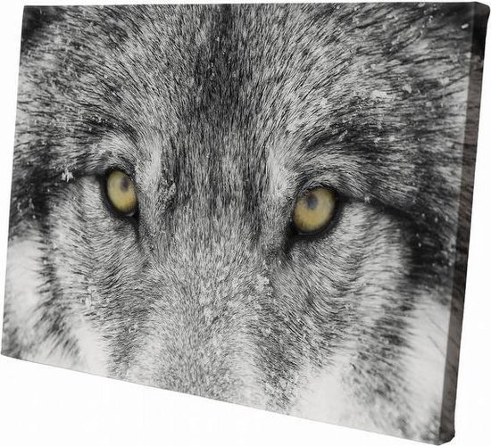 Wolf close-up | 150 x 100 CM | Wanddecoratie | Dieren op canvas | Schilderij | Canvasdoek | Schilderij op canvas