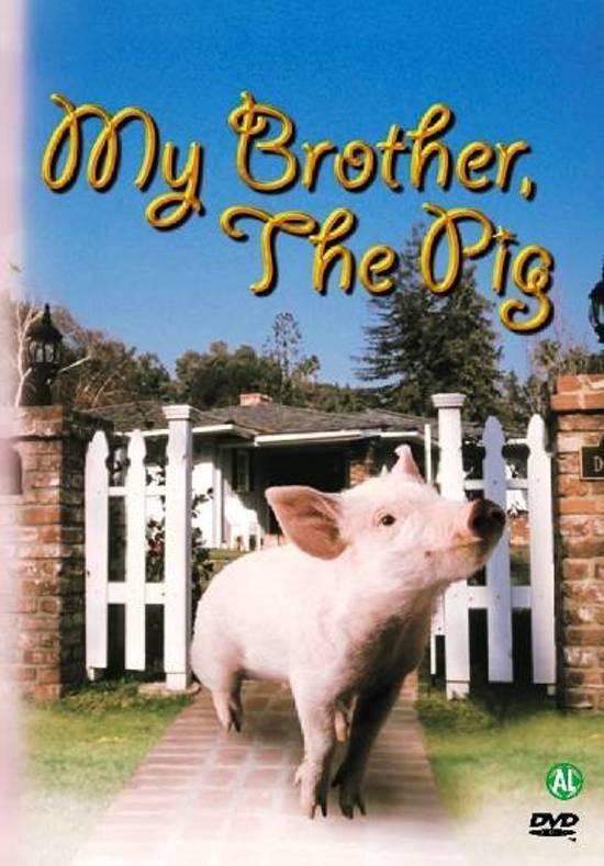 Cover van de film 'My Brother The Pig'