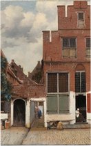 Het straatje, Johannes Vermeer - Foto op Forex - 30 x 45 cm