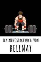 Trainingstagebuch von Belinay