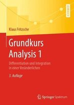 Grundkurs Analysis 1: Differentiation Und Integration in Einer Veränderlichen