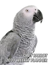 Grey Parrot 2020 Weekly Planner: Congo Grey Parrot - African Grey Parrot - 2020 Weekly Calendar - 12 Months - 107 pages 8.5 x 11 in. - Planner - Diary