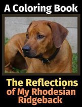 The Reflections of My Rhodesian Ridgeback