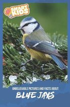 Unbelievable Pictures and Facts About Blue Jays