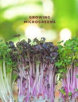 Growing micro greens