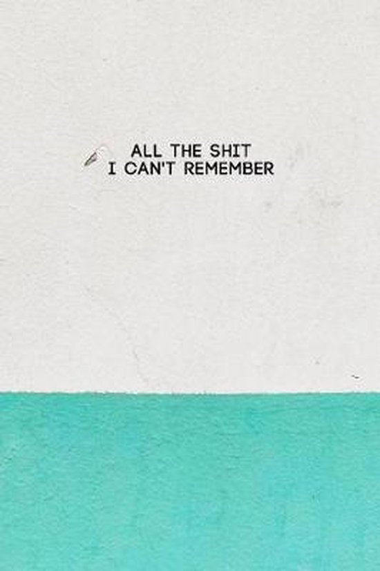 All the Shit I Can't Remember - cover