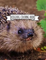 Hedgehog Coloring Book