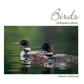 Birds: a photographic collection