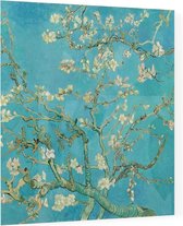 Amandelbloesem, Vincent van Gogh - Foto op Plexiglas - 40 x 40 cm