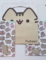 Pusheen Kado papier  2 vellen  50 cm/69 cm en kado tas