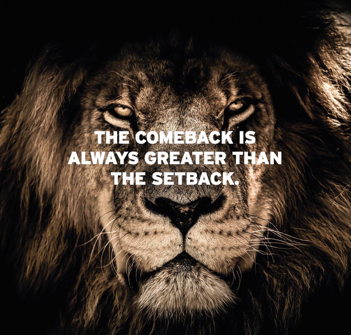 Poster Mural Inspirant – Lion & Citation Motivante – Décoration Bureau