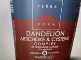Terranova Dandelion artichoke & cyste complex Inhoud:	100 capsules