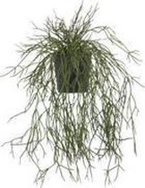 Kunstplant  - Hoya Liniaris - Hanger - In koperkleurig zinken emmertje met hengsel en houten handvat - In cadeauverpakking met gekleurd lint