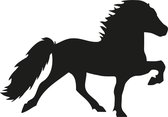Autosticker - IJslands paard -  Tölter - wit - rechtsom