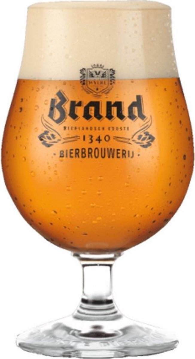 masker Herenhuis Voorstel Brand bierglazen - tulp - 25cl - 6 stuks - speciaal bierglas op voet |  bol.com