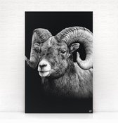 HIP ORGNL Schilderij Aries - Ram - 100x150cm - Wanddecoratie dieren - Zwart wit