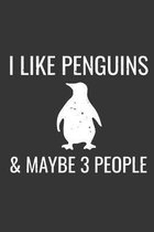 I Like Penguins & Maybe 3 People: Lined Journal Notebook