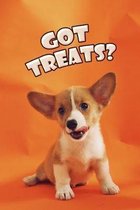 Got Treats?: Doggy Notebook