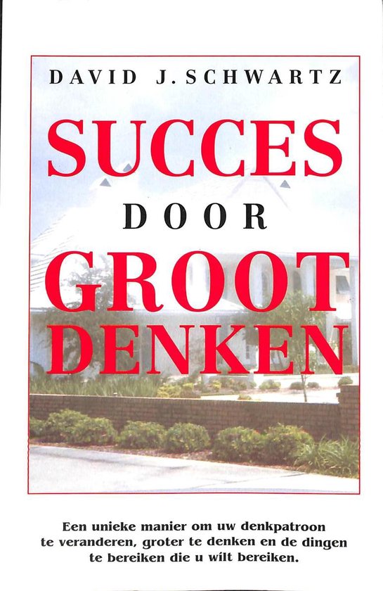 Succes Door Groot Denken - cover