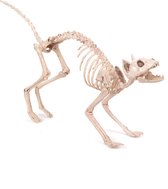 AROMA - Skelet kat decoratie - Decoratie > Decoratie beeldjes