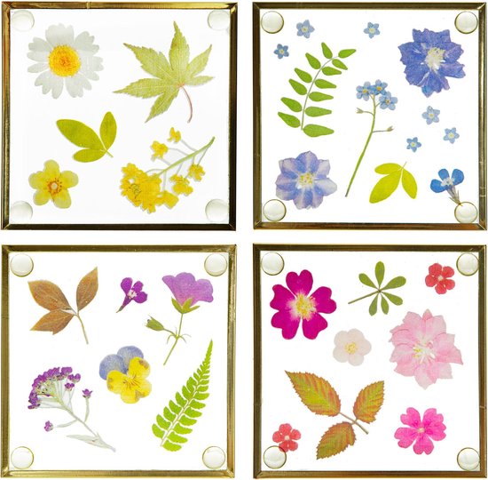 4 houten onderzetters Vlinder op Bloem - Voor de mooiste houten onderzetters