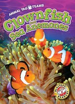 Animal Tag Teams - Clownfish and Sea Anemones