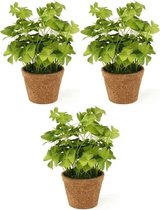 3x Kunstplanten klaver groen in pot 25 cm - Kamerplant groene klaverzuring
