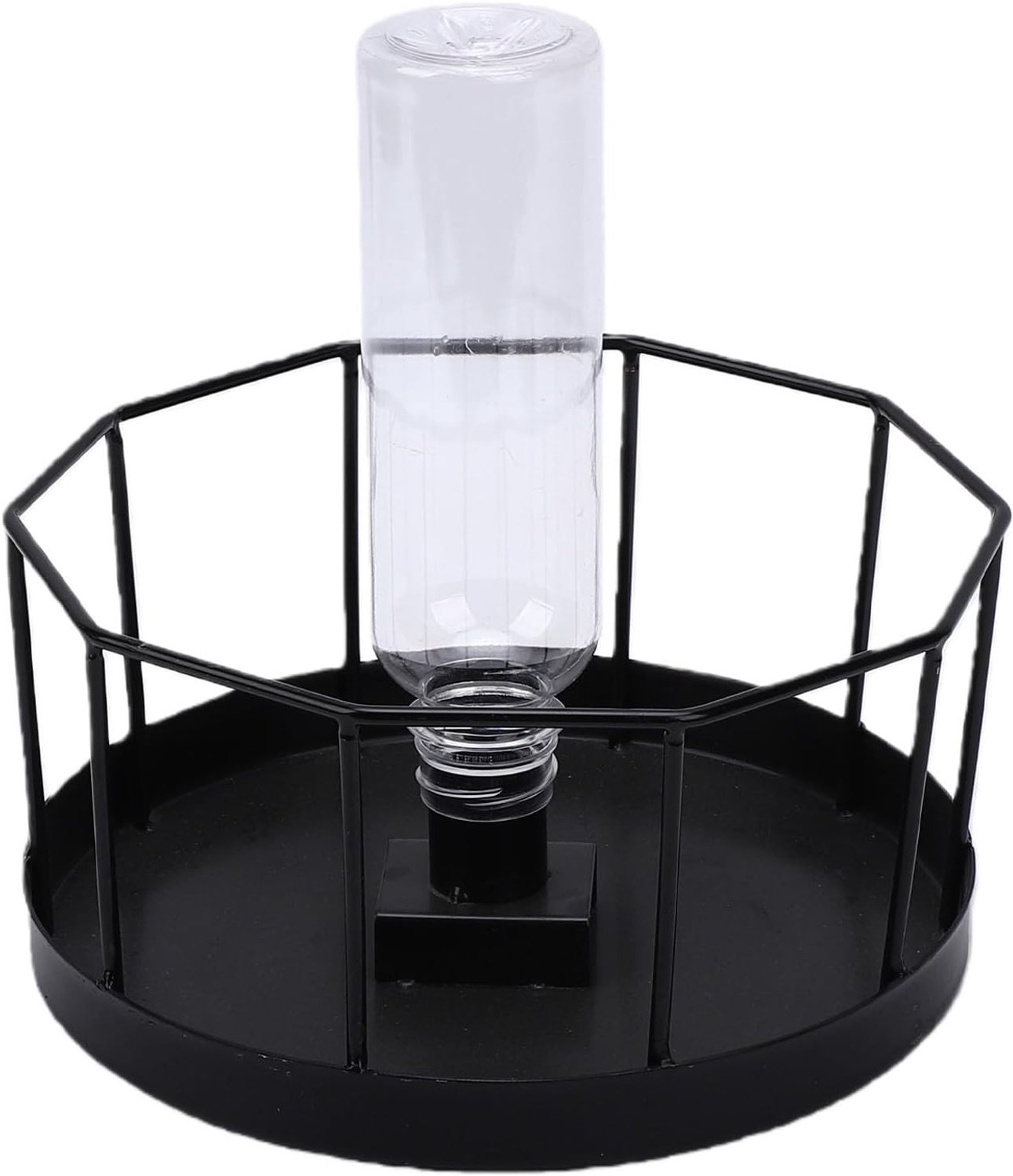 Voerbak voor Schildpadden, Terrarium, for (Small)