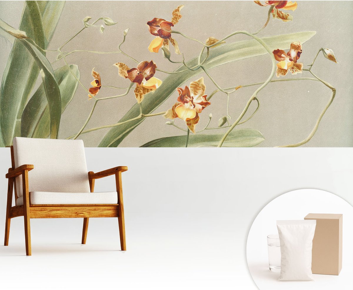 Wallfluent Fotobehang - Grijs Vliesbehang - 250x104 cm - Klassieke Orchideeën Fotobehang Vlies - Hal behang Bloemen En Planten - Muurschildering - Hal behang