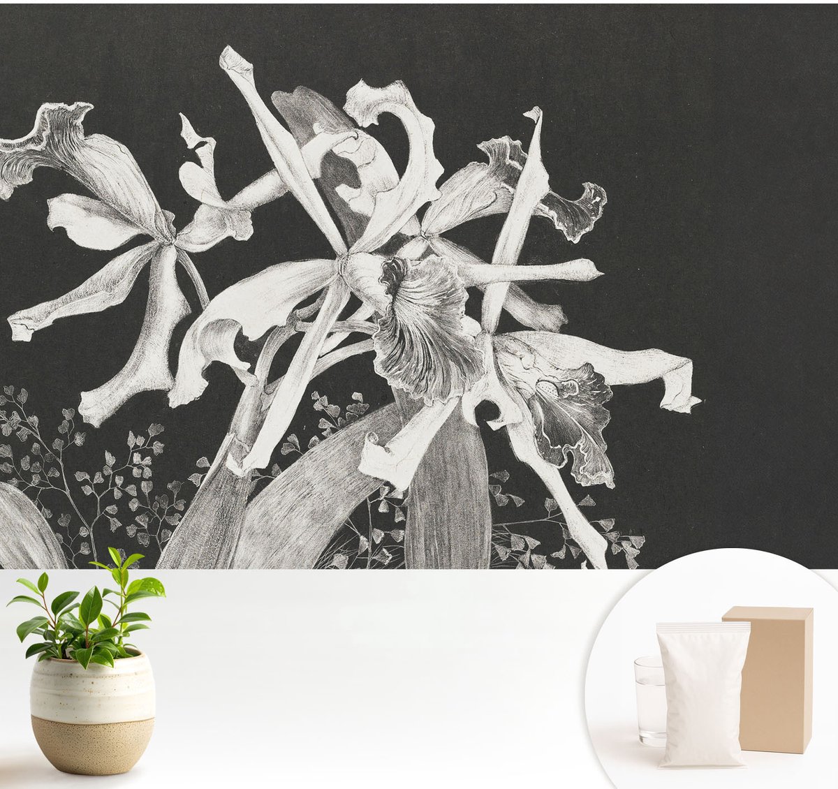 Wallfluent Fotobehang - Zwart Vliesbehang - 104x70 cm - Orchidee Illustratie Muurschildering - Gang behang Bloemen En Planten - Fotobehang Vlies - Slaapkamer behang