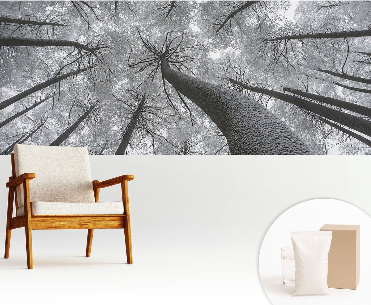 Wallfluent Fotobehang - Zwart-Wit Vliesbehang - 250x104 cm - Winterlandschap Muurschildering - Slaapkamer behang Landschappen - Fotobehang Vlies - Gang behang